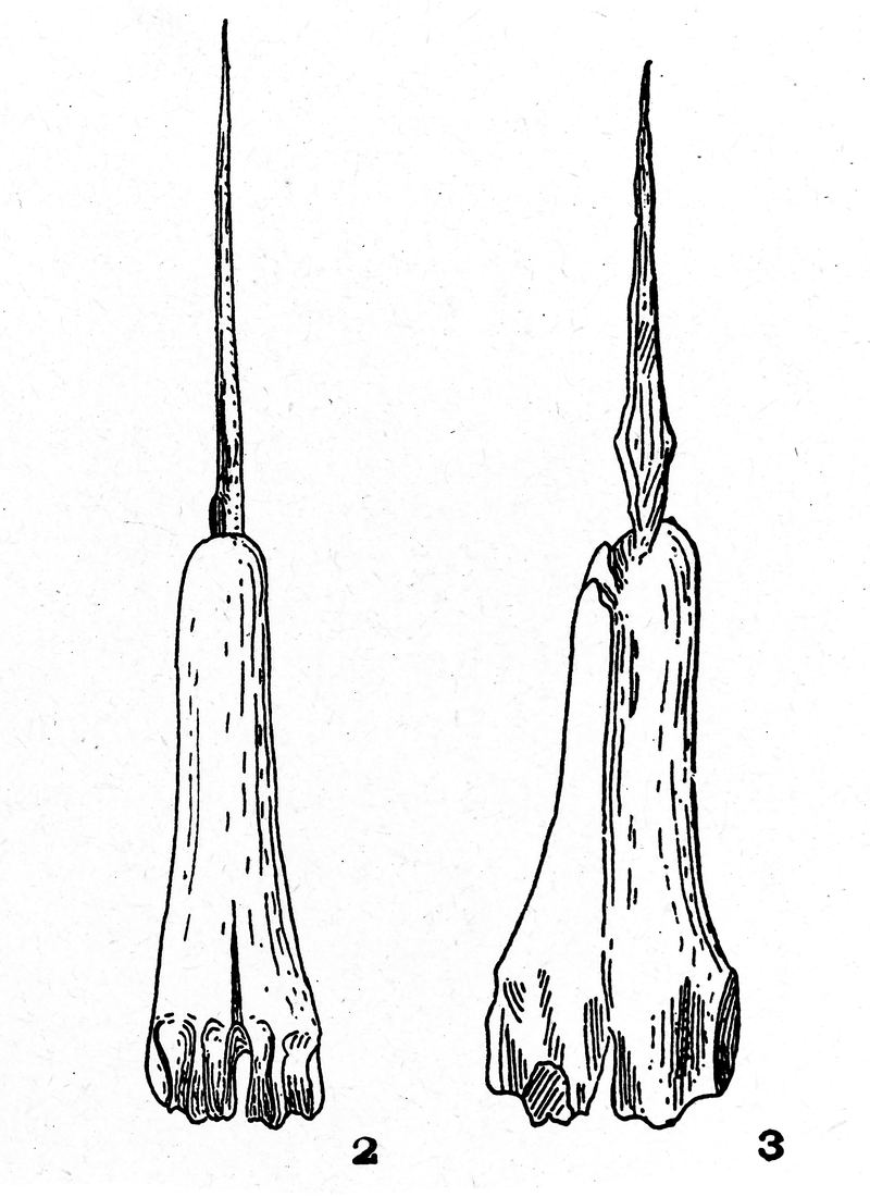 Four bronze tattooing needles mounted in bone, laid in a line on a white ground.