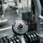 A close-up of heavy dumbbells on a rack