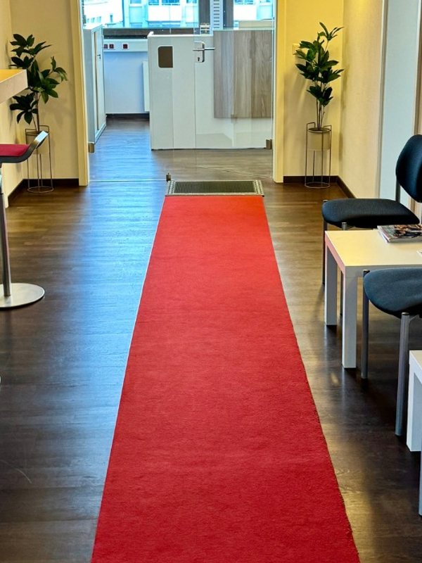 A red-carpeted waiting corridor with chairs and plants