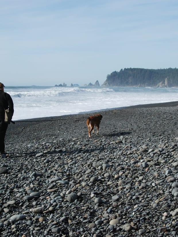 A person walking a dog on a lead along the edge of a wide beach.