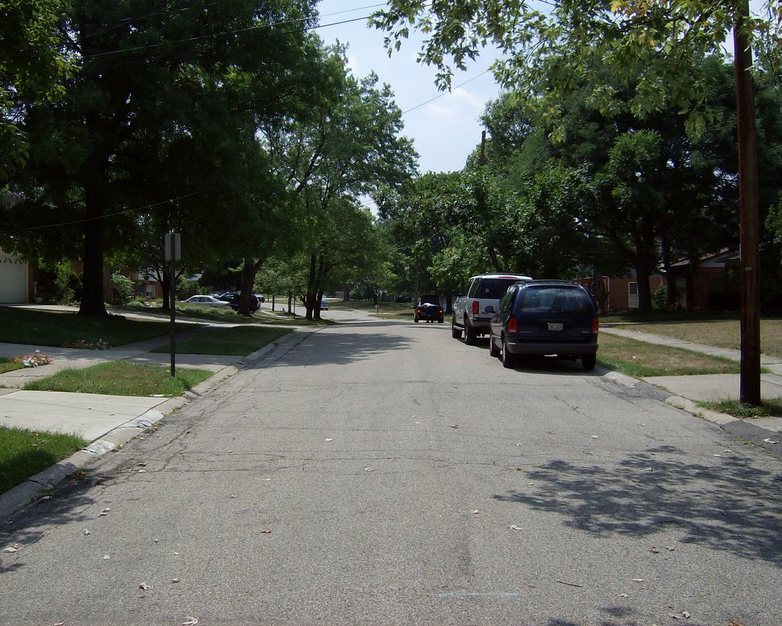 A quiet tree-lined residential street of family homes