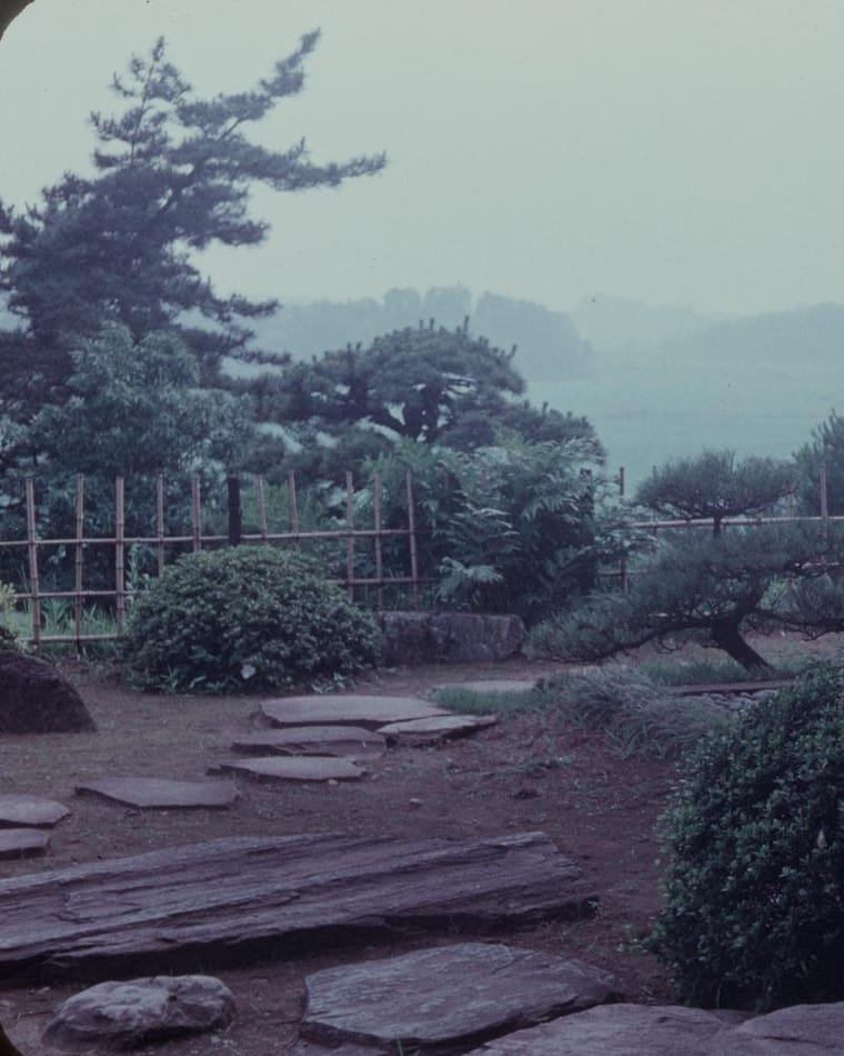 Flat stepping stones set into gravel in a Japanese garden, with pruned pines and shrubs behind in soft mist.