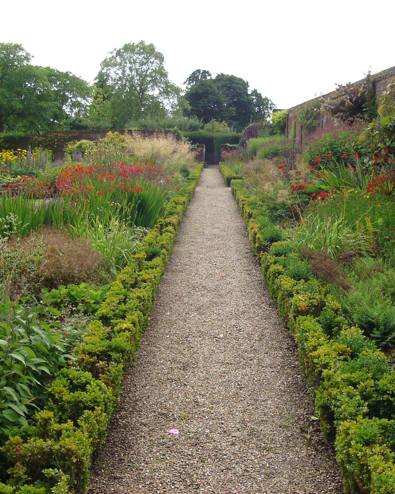 A gravel path edged with clipped box, herbaceous borders rising on both sides towards a brick wall.