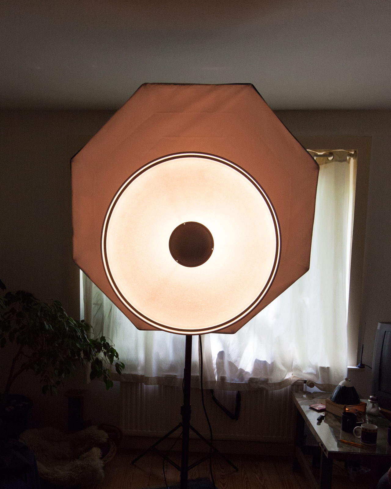 A large octagonal softbox lit on its stand, facing the camera in a darkened room.