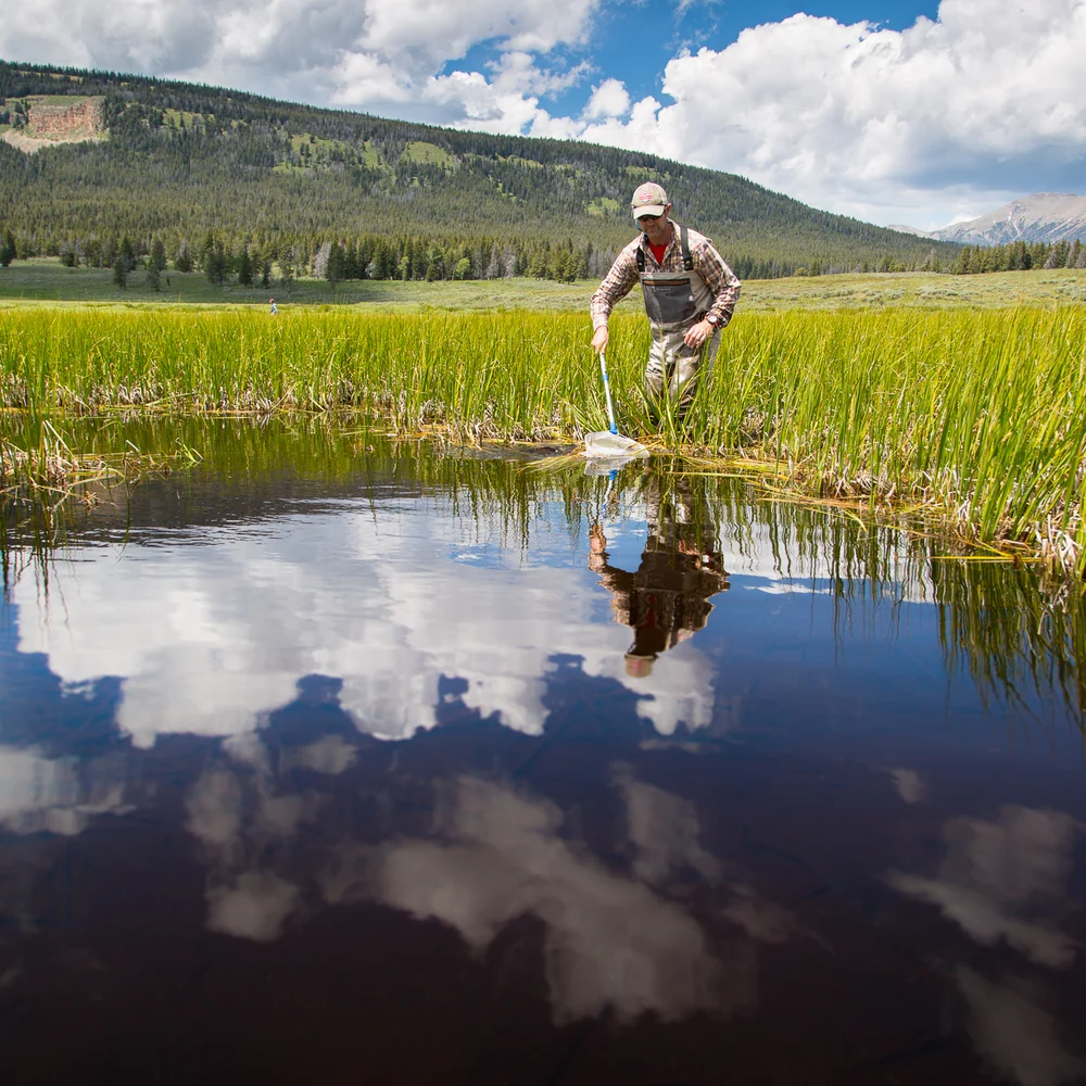 Surveyor taking measurements in a wetland below a mountain ridge