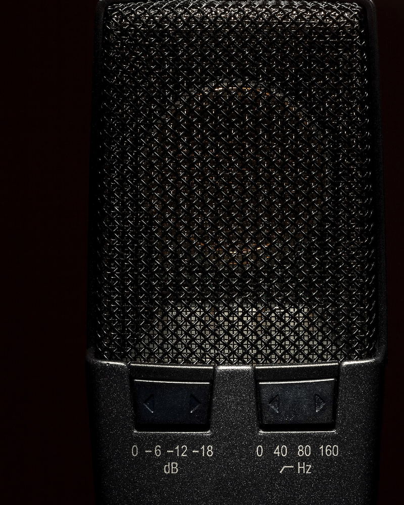 A condenser microphone grille with its switch legends marked in decibels and hertz.