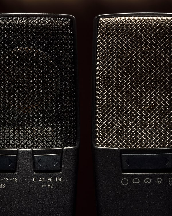Close detail of a condenser microphone in its shock mount