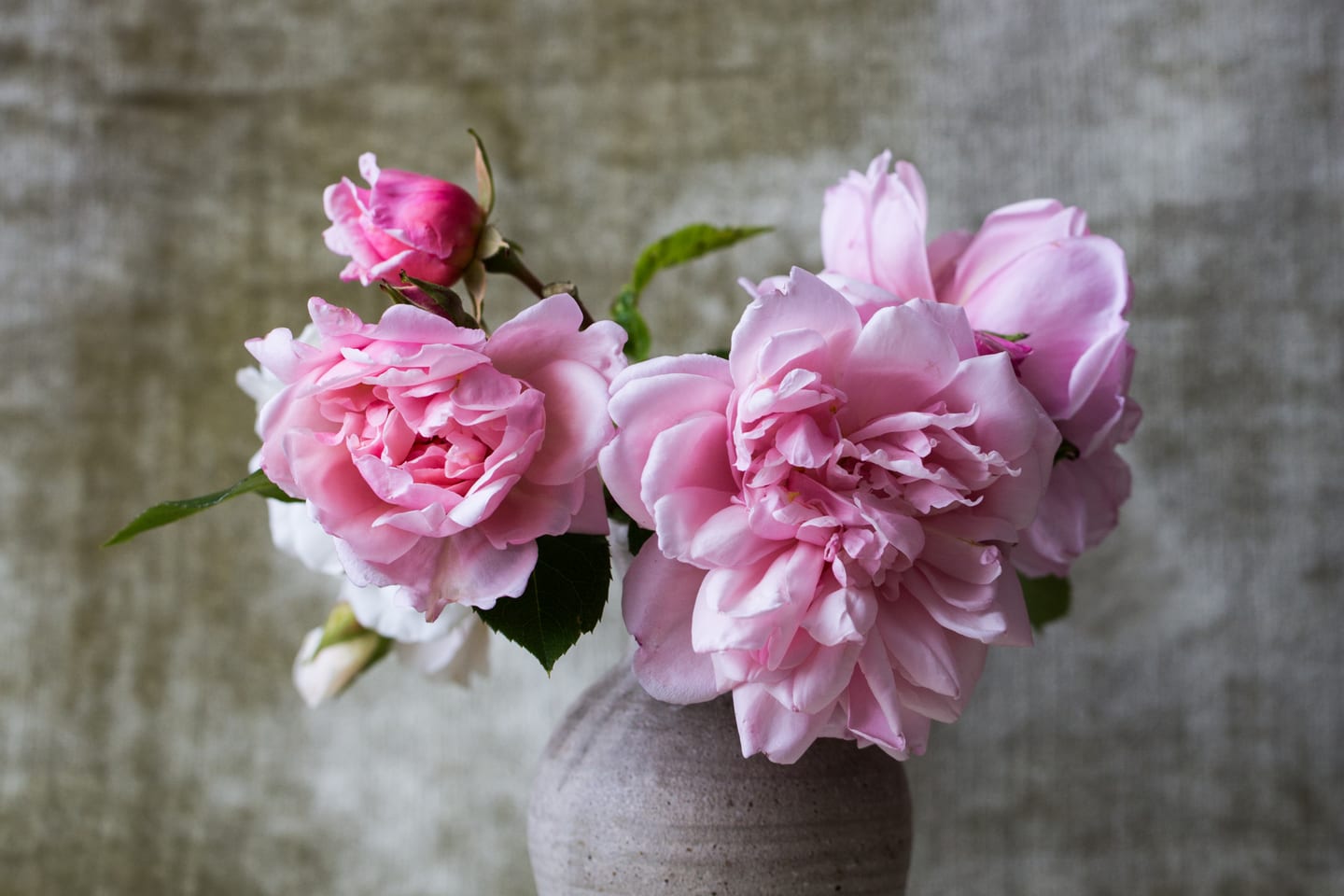 Two pink peonies in a pale stoneware vase against a textured wall.