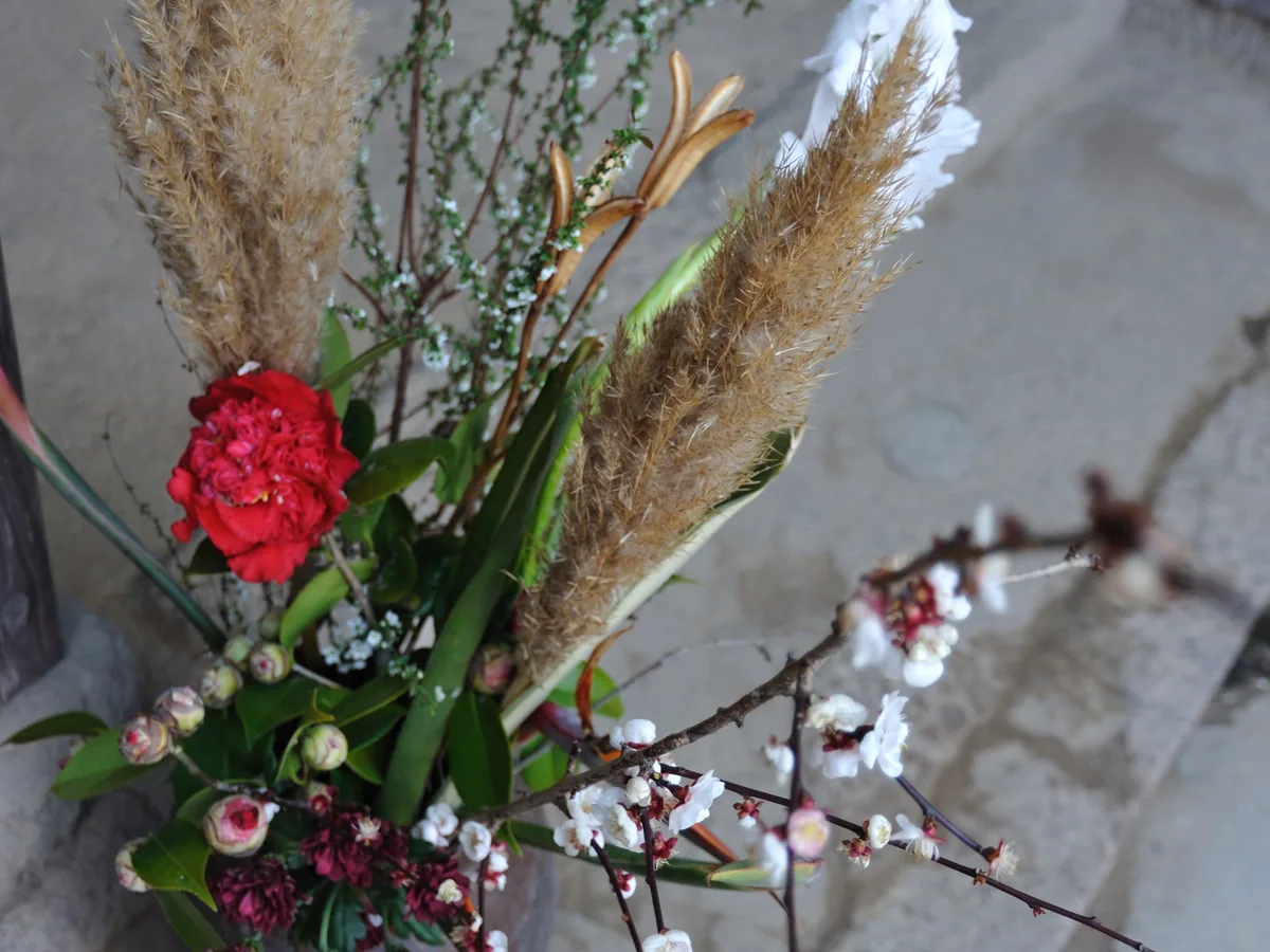 Sculptural pampas and plum blossom arrangement in a dark vessel
